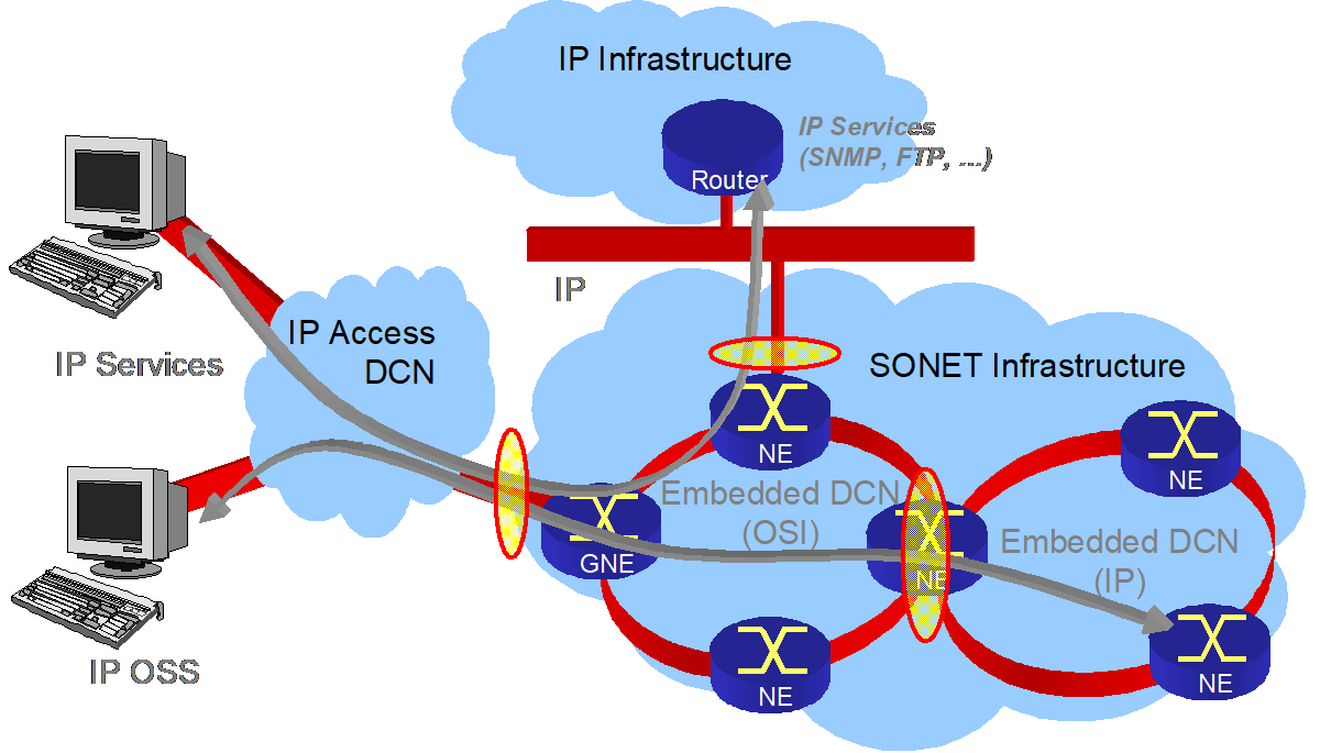 IP manageable Network Elements
